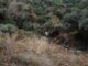 Χανιά: Τύχη «βουνό» για δύο γυναίκες – Έπεσαν σε γκρεμό 70 μέτρων αλλά σώθηκαν.