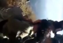 Τούρκοι εκτελούν Κούρδισσες μαχήτριες – Τις πετούν με κλωτσιές μέσα σε λάκκο