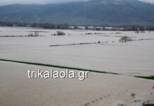 Τρίκαλα: Η στεριά έγινε θάλασσα – Τα νερά του Πηνειού κάλυψαν τα πάντα – Αγώνας για εγκλωβισμένο ζευγάρι