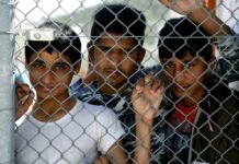Ντοκιμαντέρ σοκ του RT – Εμπόριο λευκής σαρκός και οργάνων στην Αθήνα