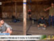 ΕΔΩ Survivor: Χαμός στην ομάδα των Μαχητών. «Στα μαχαίρια» Ηλίας και Νικόλας