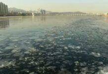 Θαρραλέοι στους -28. Βούτηξαν στα παγωμένα νερά του ποταμού Χαν