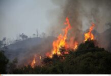 Τέσσερις φωτιές στην Κρήτη – Μάχη με φλόγες και μποφόρ
