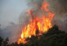 Φωτιά… επί τέσσερα. Καίγονται Κρήτη, Ηλεία, Κιάτο και Αυλώνας.