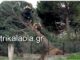 Ανεμοθύελλα σάρωσε τα Τρίκαλα: Ξεριζώθηκαν δέντρα, ξηλώθηκαν σκεπές