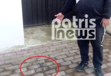 Έκαψαν ελληνική σημαία στη Γαστούνη