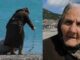 Γιαγιούλα ψάχνει ξύλα για να ζεσταθεί σε παραλία της Ναυπάκτου