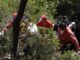 Σε εξέλικη επιχείρηση διάσωσης 7 ανθρώπων από φαράγγι στα Χανιά