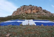 Φάρσαλα: Η ελληνική σημαία των 200 τετραγωνικών μέτρων – Η πρωτοβουλία των 40 νεαρών