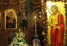 Μεγάλη Δευτέρα: Η άκαρπη συκιά που καταράστηκε ο Χριστός
