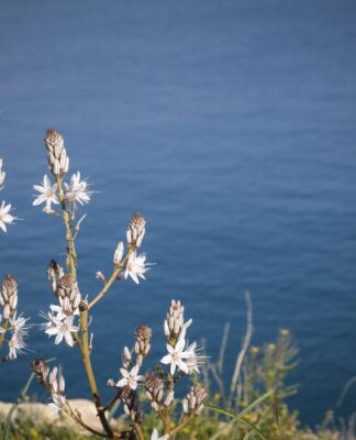 Καιρός: Και… Ιούνιος καλά κρατεί – Υψηλές θερμοκρασίες και την Παρασκευή