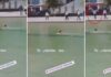 Άντρας ζεστάθηκε και βούτηξε στα νερά του ιδρύματος «Σταύρος Νιάρχος»