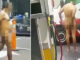 Γuμνός άντρας με σεξουαλικό βοήθημα στον πρωκτό πηγαίνει σε βενζινάδικο ζητώντας βοήθεια
