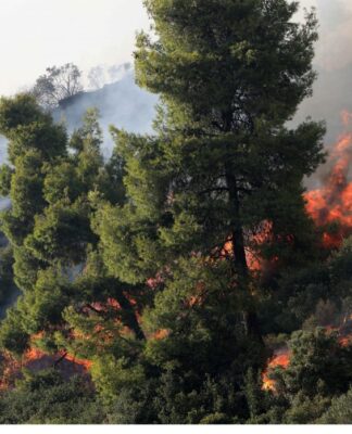 Ηλεία: Μεγάλη φωτιά στη Φρίξα – Ισχυροί άνεμοι στην περιοχή