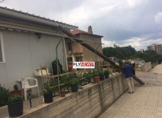 Σπάρτη: Άνοιξε την πόρτα και είδε αυτές τις εικόνες – Ο ιδιοκτήτης προσπαθούσε να πιστέψει στα μάτια του