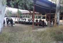Πάτρα: Νέες εικόνες από την επιχείρηση σκούπα της αστυνομίας στο λιμάνι – Η στιγμή της εφόδου