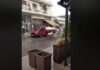 Θεσσαλονίκη: Πρόβατο για κλήση. Τρέχει στο αντίθετο ρεύμα και προκαλεί πανικό.