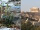 Tο αγριολούλουδο που φυτρώνει μόνο στην Ακρόπολη και πουθενά αλλού στον κόσμο