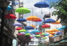 Το λεξικό της Καρδίτσας: 21 βασικές λέξεις που είναι αδικαιολόγητο να μην γνωρίζετε
