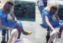 Ενοχλήθηκε από τη Σάσα Σταμάτη ο Πέτρος ο πελεκάνος της Μυκόνου