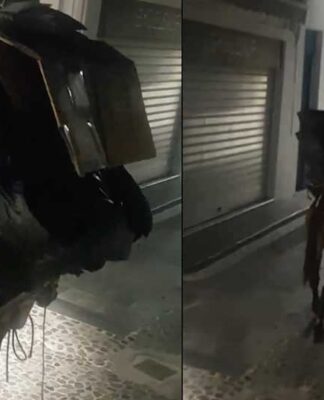 Σαντορίνη: Φόρτωσαν γάιδαρο με ότι περισσότερο μπορούσαν και το ζώο μετά βιας κινείται