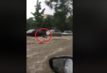 Βίντεο – σοκ. Η στιγμή που χείμαρρος παρασύρει γυναίκα στη Θεσσαλονίκη