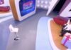 Πάμε Πακέτο: Λιποθύμησε στο πλατό – Ζητούσε βοήθεια η Βίκυ Χατζηβασιλείου
