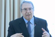 «Tόσες προσδοκίες γέννησαν τόση πίκρα»: Ο Μπαμπινιώτης απαντά για την «Μακεδονική» γλώσσα