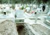 Θεσσαλονίκη: Παρέμβαση εισαγγελέα για τα ποντίκια στο νεκροταφείο της Καλαμαριάς
