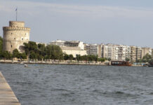 Μεγάλη μέδουσα έκανε την εμφάνιση της στον Θερμαϊκό
