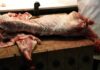 Γαλλία: Με τον… φόβο των vegan ζουν οι κρεοπώλες – Έκκληση στον υπουργό για βοήθεια