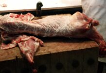 Γαλλία: Με τον… φόβο των vegan ζουν οι κρεοπώλες – Έκκληση στον υπουργό για βοήθεια