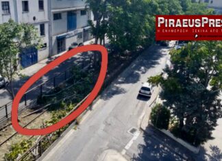 Οικολογικό έγκλημα στον Πειραιά – Κόβουν δέντρα 15 ετών!