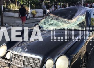Σοβαρό τροχαίο στην Ηλεία: Άλογο έπεσε σε αυτοκίνητο με έγκυο