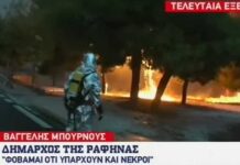 Δήμαρχος Ραφήνας: «Υπάρχουν νεκροί από τη φωτιά»