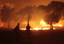 Επίσημη ανακοίνωση: Πάνω από 20 επιβεβαιωμένους νεκρούς από τις φωτιές στην Αττική