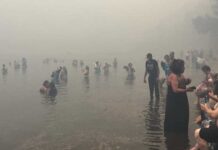 Άνθρωποι βουτάνε μέσα στη θάλασσα στη Νέα Μάρκη για να μην τους κάψει η φωτιά