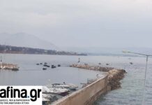 Φωτιά στη Ραφήνα: Επιχείρηση των ΟΥΚ για τον εντοπισμό αγνοουμένων