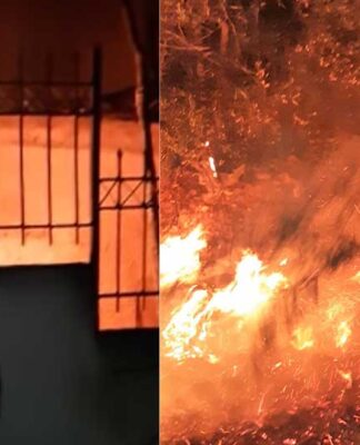 Βουλευτές της ΧΑ έσβησαν πυρκαγιές της Ανατολικής Αττικής