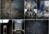 Ψάχνει για "σημάδια" εμπρησμού η Αντιτρομοκρατική. 81 χαμένες ψυχές από τις φωτιές