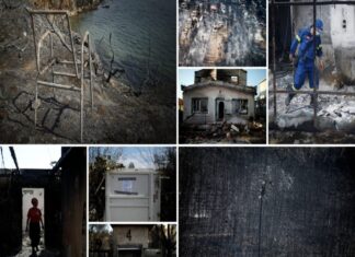 Ψάχνει για "σημάδια" εμπρησμού η Αντιτρομοκρατική. 81 χαμένες ψυχές από τις φωτιές