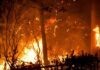 Εως και 1600 βαθμοί Κελσίου αναπτύχθηκαν στην φωτιά στο Μάτι