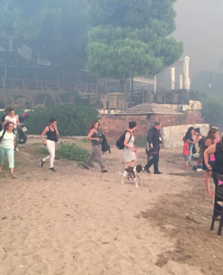 Στην Αθήνα διάσημος πλαστικός χειρουργός για τους τραυματίες από τις φωτιές