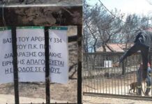 Ο ιδιοκτήτης του μαρτυρικού οικοπέδου απαγορεύει την είσοδο για έρευνες