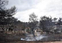 Μία 10χρονη περιγράφει πώς σώθηκε μέσα από τις φλόγες στο Μάτι. "Δε θα πάω ποτέ ξανά κατασκήνωση"