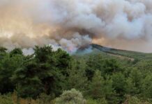 Μετά την πυρκαγιά «έρχεται» η εξόρυξη βωξίτη που είχε απορριφθεί
