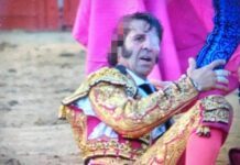 Σκληρές εικόνες. Ταύρος ξεριζώνει το σκαλπ μονόφθαλμου ταυρομάχου – video