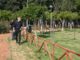 ΔΗΜΟΣ ΠΕΙΡΑΙΑ: Βραδινές υπερωρίες για υπαλλήλους του Πρασίνου!