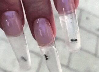 Ζωντανά μυρμηγκιά παγιδευμένα μέσα σε νύχια μανικιούρ είναι η νέα ενοχλητική μόδα