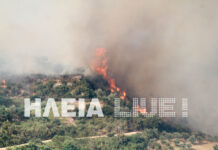 Ηλεία: Μεγάλη φωτιά ΤΩΡΑ στην Κλινδιά